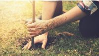 Planting for Survival