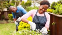 The Art and Science of Pruning