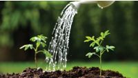 Water-Wise Landscaping