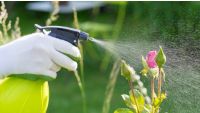 Understanding Pesticides