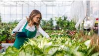 Plant Selection: Finding Quality Specimens