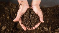 Soil Preparation and Protection