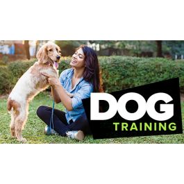 jean donaldson dog training 101